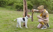 MoonriseKingdom 017.jpg (301 KB)