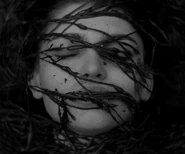 Lighthouse-0047.jpg (48 KB)