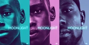 Moonlight-002.jpg (319 KB)