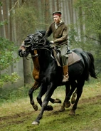 WarHorse 023.jpg (199 KB)