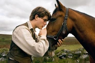 WarHorse 021.jpg (262 KB)