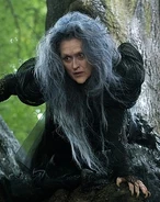 StreepIntoWoods.jpg (51 KB) Into the Woods