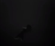 Lighthouse-0113.jpg (8 KB)