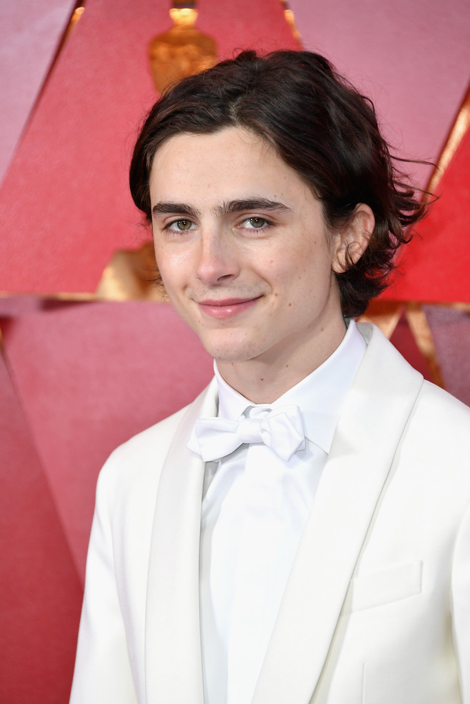 timothee chalamet oscars