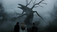 SleepyHollow 040.jpg (97 KB)