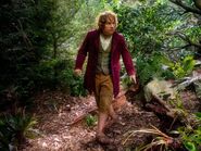 HobbitJourney 086