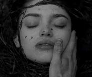 Lighthouse-0079.jpg (41 KB)