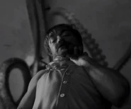 Lighthouse-0058.jpg (29 KB)