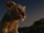 The Lion King (2019)