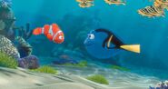 FindingNemo 018