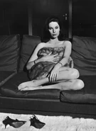 Strangelove 011.jpg (157 KB)