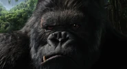 KingKong05 057.jpg (130 KB)