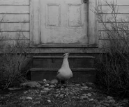 Lighthouse-0027.jpg (91 KB)