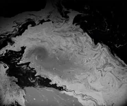 Lighthouse-0060.jpg (69 KB)