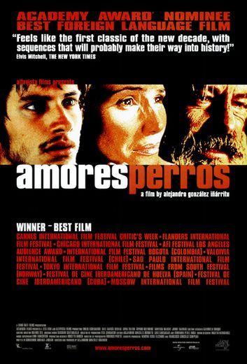 amores perros song amores perros song