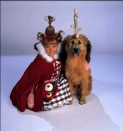 Grinch 006.jpg (95 KB)