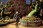 EdwardScissorhands 005.jpg (66 KB)