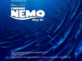 Finding Nemo