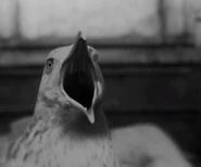 Lighthouse-0084.jpg (29 KB)