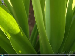 Windows Vista Build 5259 | Operating System Beta, etc. Wiki | Fandom