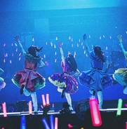 不動のセンター OSHINOKO_MAGIC