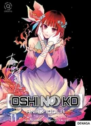 Volume 11 Cover (Indonesian)