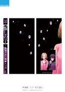 Spine and Dust Jacket