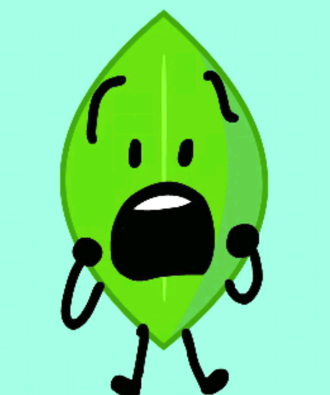 Bfdi leafy. Лифи bfdi. Bfdi evil leafy. Лифи bfdi. Bfdi evil leafy.