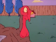 Rugrats - The Turkey Who Came To Dinner 188