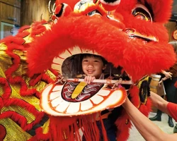 Category:Chinese New Year's (2.65 MB) Chinese New Year January 25