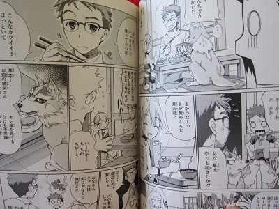 Otogi Jushi Akazukin (Manga)
