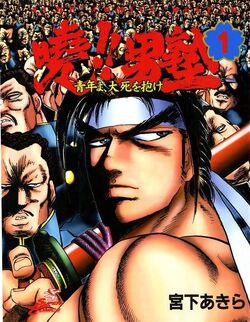 The first volume cover of the series