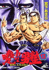 Akatsukiv13cover