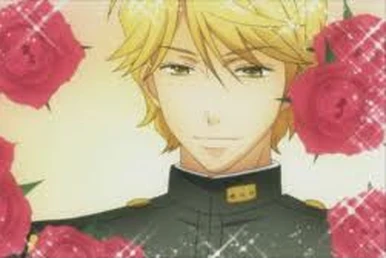 HAND MAID MAY トレーディングカード Hand Maid May | Animanga Wiki | Fandom