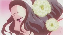 Susukihotaru Otome Youkai Zakuro Wiki Fandom