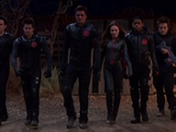 Lab Rats