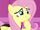 Fluttershy