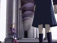 Meeting the Cheshire cat...or is it cats?