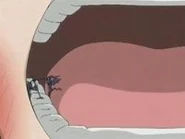 Cavity demons at work.