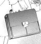 Typical Japanese bookbag.