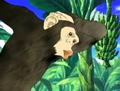 Which monkey is your favorite?