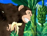 Monkeybanana