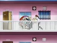 Allballedup.jpg (136 KB) I don't think so.