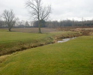 Branch creek