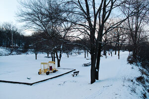 Lions Park