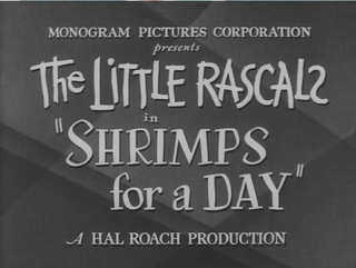 Shrimpsforadaytitle