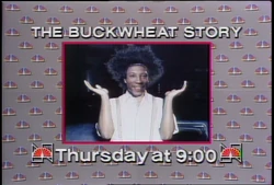 Snl buckwheat story