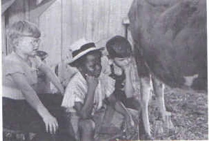 Froggy, Buckwheat and Mickey