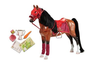 Our generation persian show sale horse