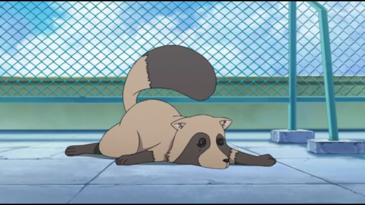 Tanuki | Our Home's Fox Deity Wiki | Fandom